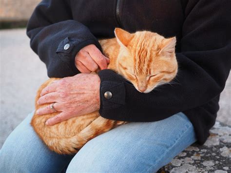 Caressing Someone in Dream - Meaning and Symbolism | Dream Glossary