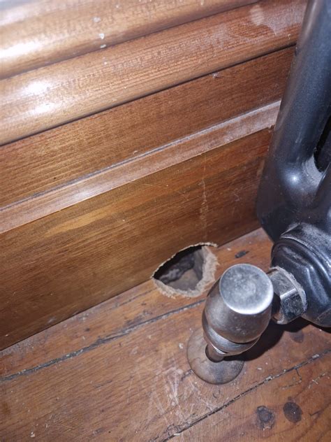 ⚠️Attention Landlords & Homeowners! 🏠 Stay one step ahead of the pests