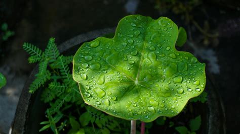 Sophie+Rain+Hot Photos, Download The BEST Free Sophie+Rain+Hot Stock