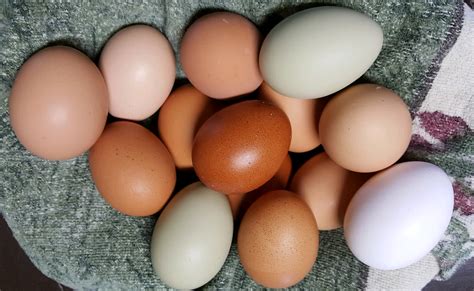 Farm-Fresh Eggs - Carlson Farms