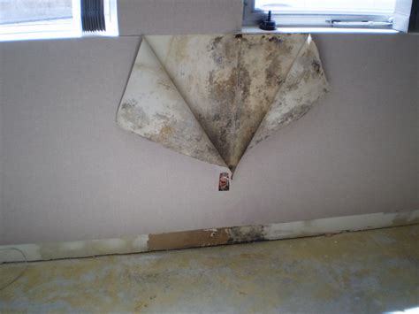 hidden-mold-1 - Mold Inspection and Environmental Services