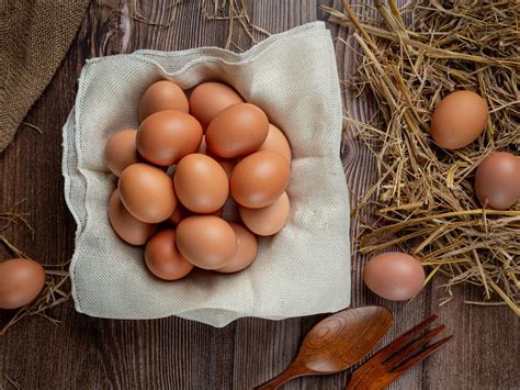 membedakan telur segar  telur busuk bisa tahu   bagian