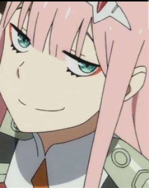 Nothing just Zero Two smug face : r/ZeroTwo