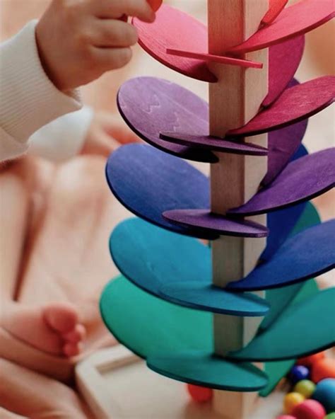 rainbow sound tree cm lost   woods