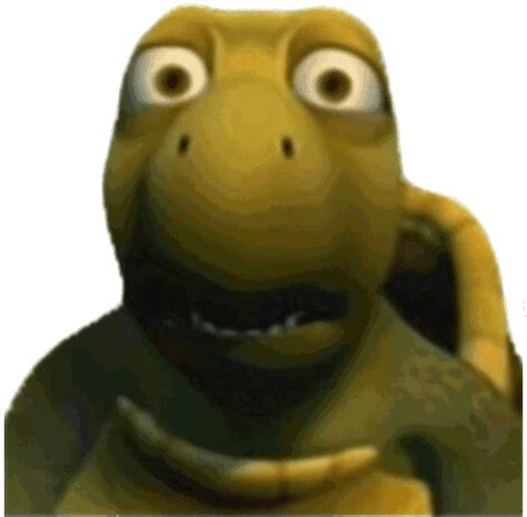 turtle huh meme sticker turtle huh meme gif
