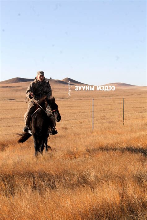 Фото: Монгол Улсын хил тайван байна