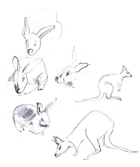 наброски животных - Поиск в Google | Animal drawings, Sketches, Drawings