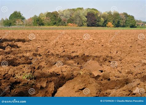 Brown Soil Texture Royalty-Free Stock Photography | CartoonDealer.com #82551749