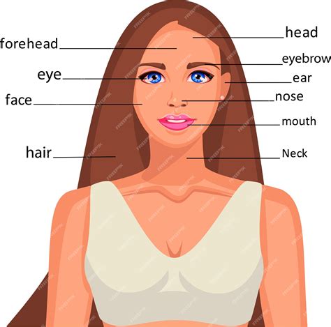 Parte Do Rosto Em Inglês - Partes Do Rosto Em Inglês - BRAINCP