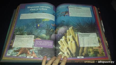 Книга: Гигантская детская энциклопедия с дополненной реальностью ...