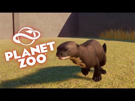 DLC ANIMALS BATTLE ROYALE| Planet Zoo - YouTube