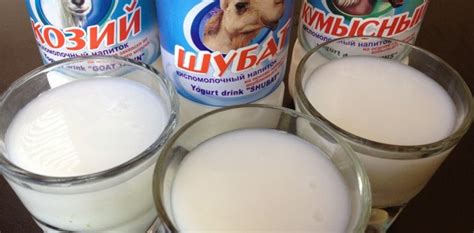 Айран, кумыс, шубат. Из чего делают, где пьют, чем полезны.
