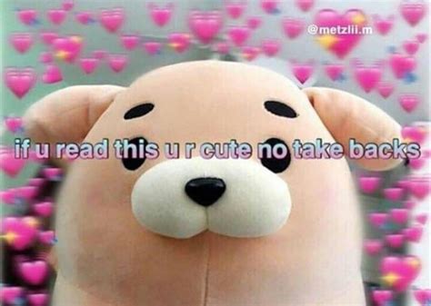 Your Cute Meme
