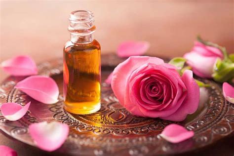 Buy damask rose skin oil + best price - Arad Branding