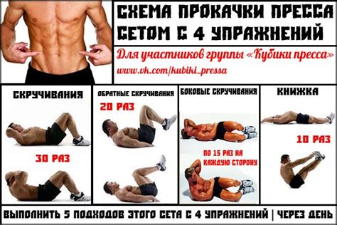 Лучшие упражнения для сжигания жира на животе и боках для мужчин