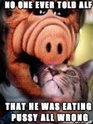 Funny : r/alf_hub