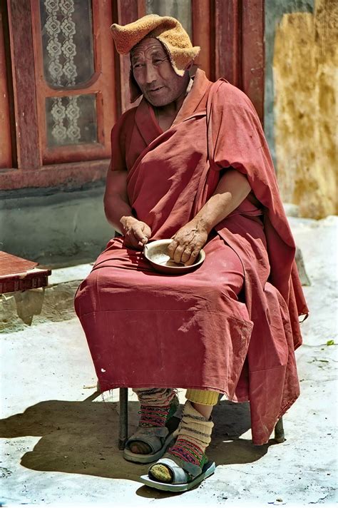 humans world dard people