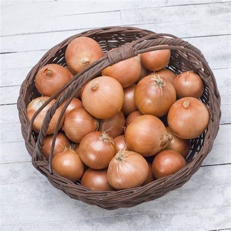 Soğan ( Kuru ) (1Kg) – Mutlu Sebzeler
