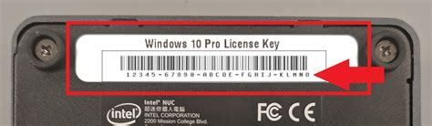faqs frequently asked questions snuc