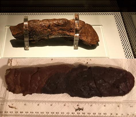 world's biggest turd