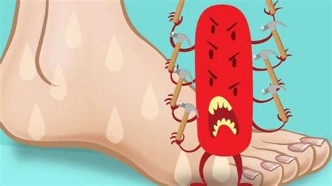 fart india holds   farting contest  surat bbc