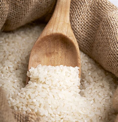 SHINAKI - buy brand products | Official website of the supplier Resfood