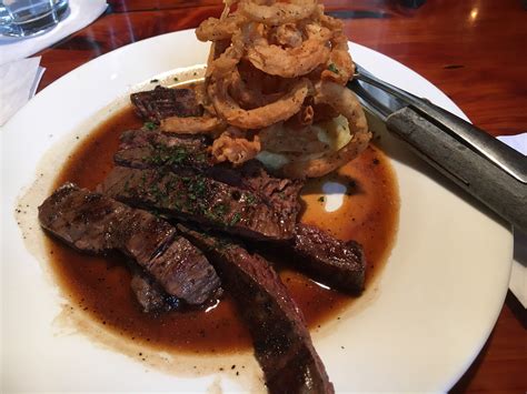 The secret life of Auburn the Hound revealed in new videos 12