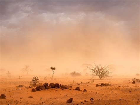 As it happened: Man United back to winning ways, Southampton relegated