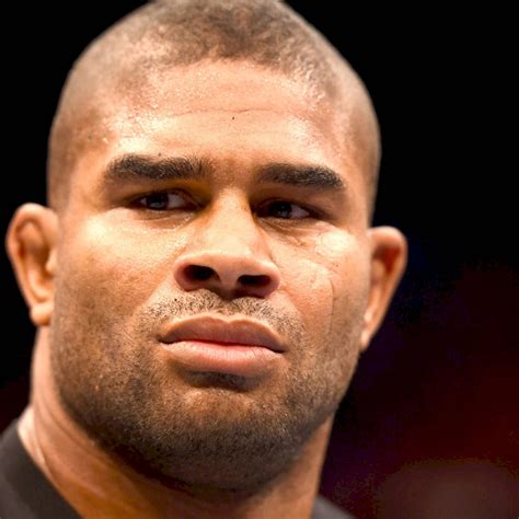 alistair overeem wallpapers wallpaperscom