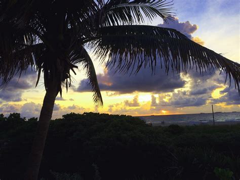 Fat People In Bikinis At The Beach