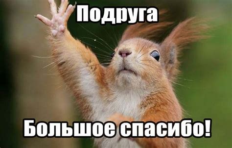 Картинки Спасибо Подруга - красивые открытки бесплатно