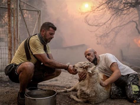 How heat fueled extreme weather across the world in 2023 - TODAY