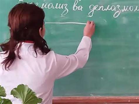 Mavzu: Plazmoliz va deplazmoliz jarayoni. - YouTube