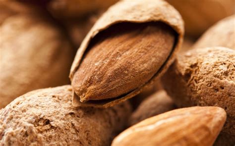 ALMOND | Yiannis Lucacos