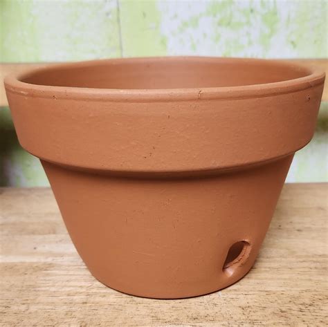 Clay Orchid Pot 6"