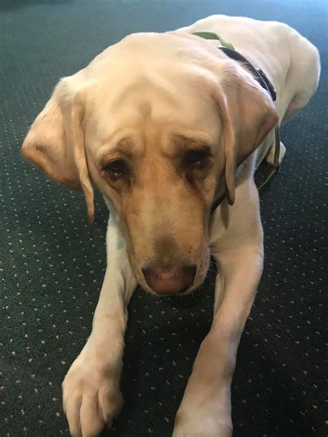 Davis Funeral Chapel, Inc. - Home | Facebook