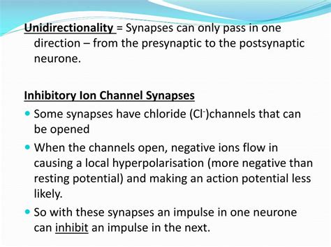 PPT - The Structure and Function of Synapses PowerPoint Presentation ...