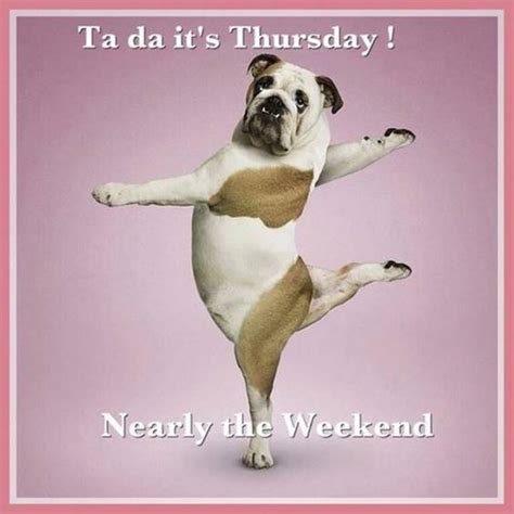 112 Funny Thursday Memes to Get You Through Week – FunZumo