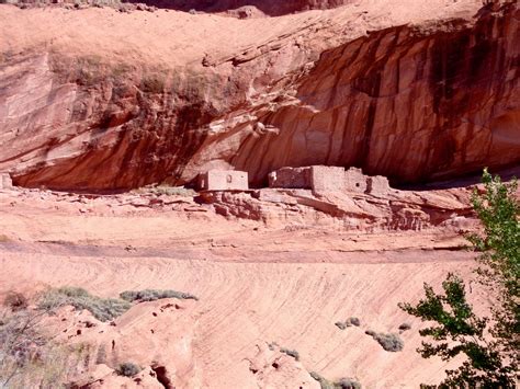 Memorial and Obituary Information for Dana Smith 8