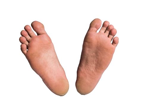 pied ou paire de pieds nus sur fond isole  png