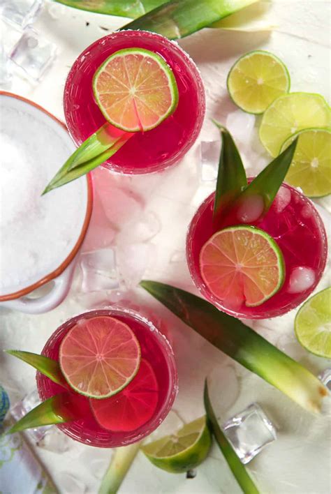 prickly pear margarita recipes 4