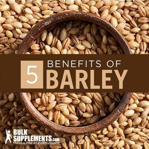 barley nutrition facts  benefits dwjve
