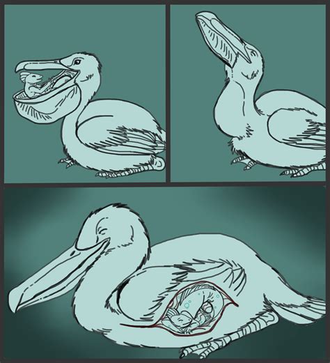 Fishy and Feathered Friends--Vore Sketchcomic — Weasyl
