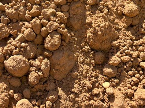 variation  fills common  texas twisted nail