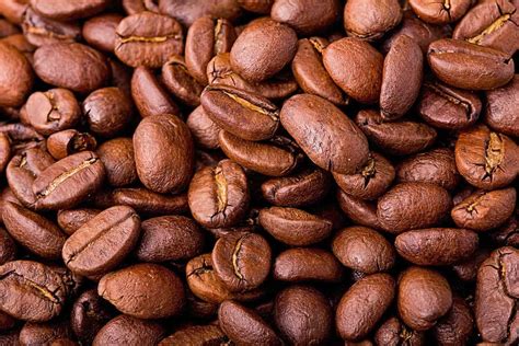 wave coffee discover artisanal coffee magic