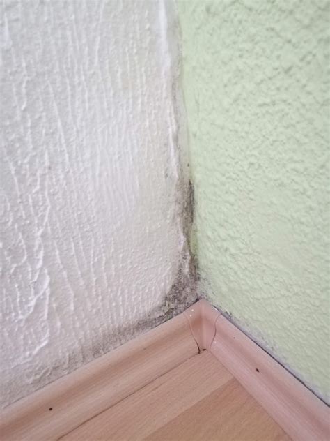 Wie bekommt man diesen schimmel weg? (Gesundheit und Medizin