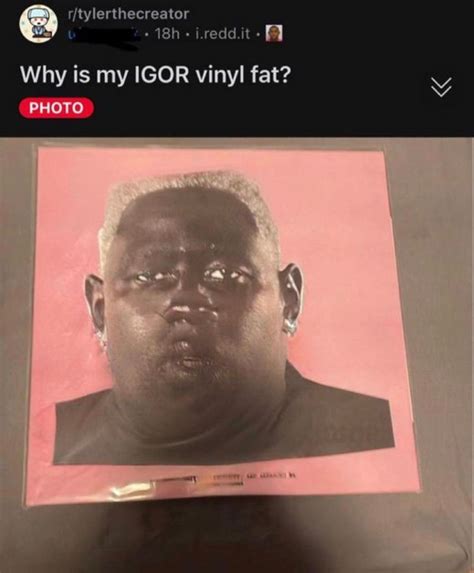 Tyler the creator mugshot – Artofit