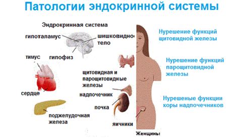 Боль в левом подреберье у мужчин и женщин: причины и возможные заболевания