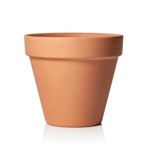 pot area stock  pictures royalty  images istock