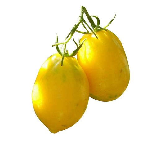 Lemon Plum Tomato Seeds - Price €1.75